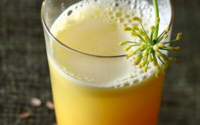 Découvrez les vertus surprenantes du jus de fenouil avec 1001 jus