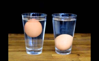 Œuf qui flotte : le guide ultime pour tester sa fraîcheur en toute simplicité